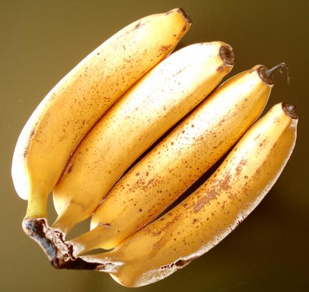 Fruits d'un jour