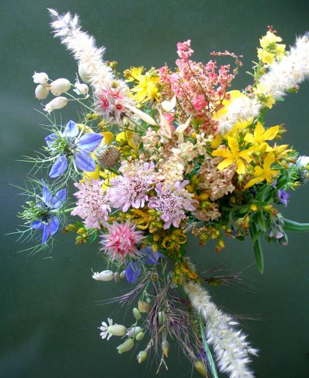 Petit bouquet de campagne, fou et joyeux, reçu en cadeau...merci