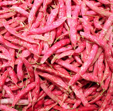 Haricots rouges