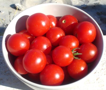 Jolies et délicieuses petites tomates du jardin  ;-p