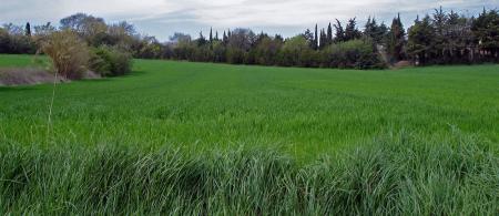 Je m'arrête là et je respire, j'aime cette verdure !