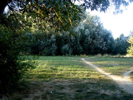 Le chemin du Comte