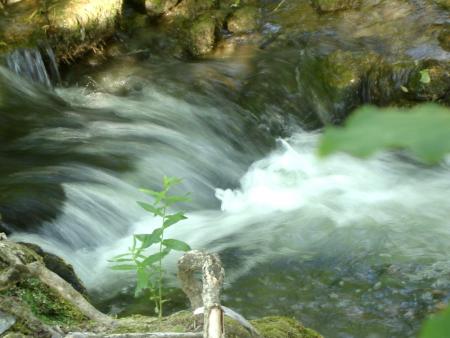 L'eau vive....