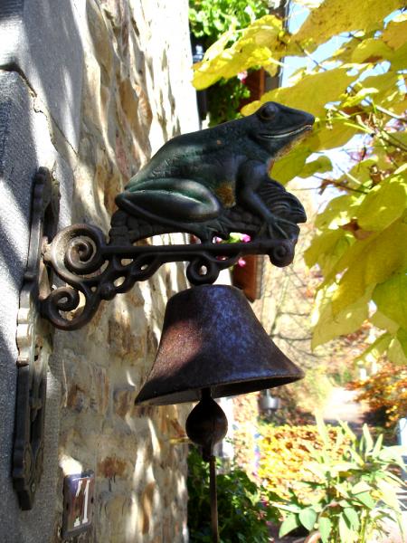 La grenouille a son étang mais il est si bas qu'elle sonne le glas !