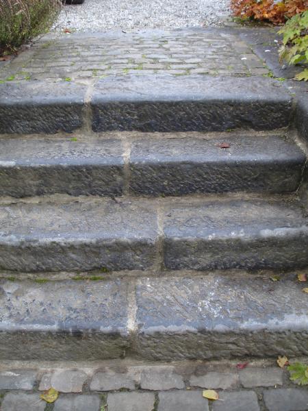 Pour toujours ce bel escalier mènera de la maison au jardin. 